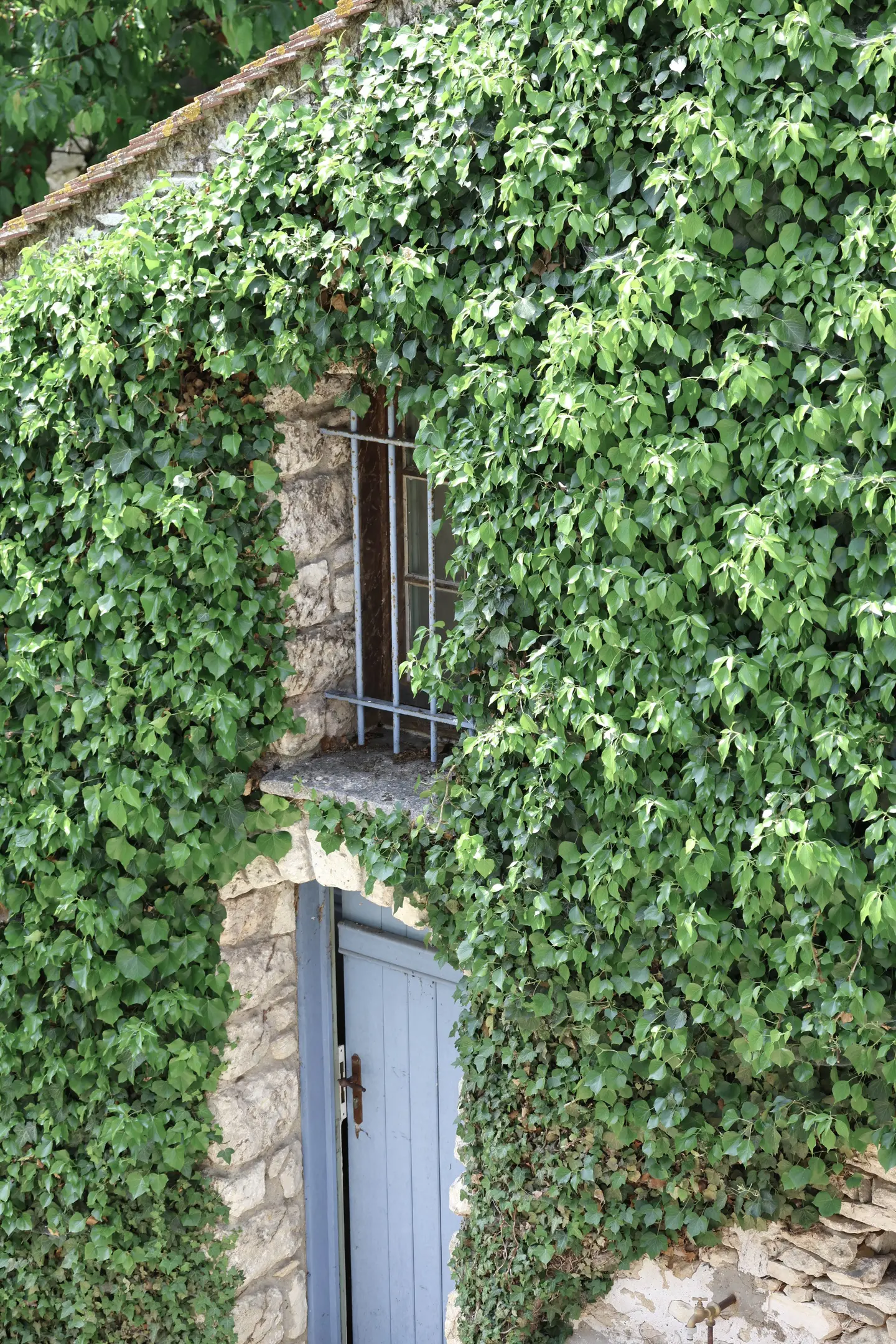 La Fugue - Maison à louer pour s'évader